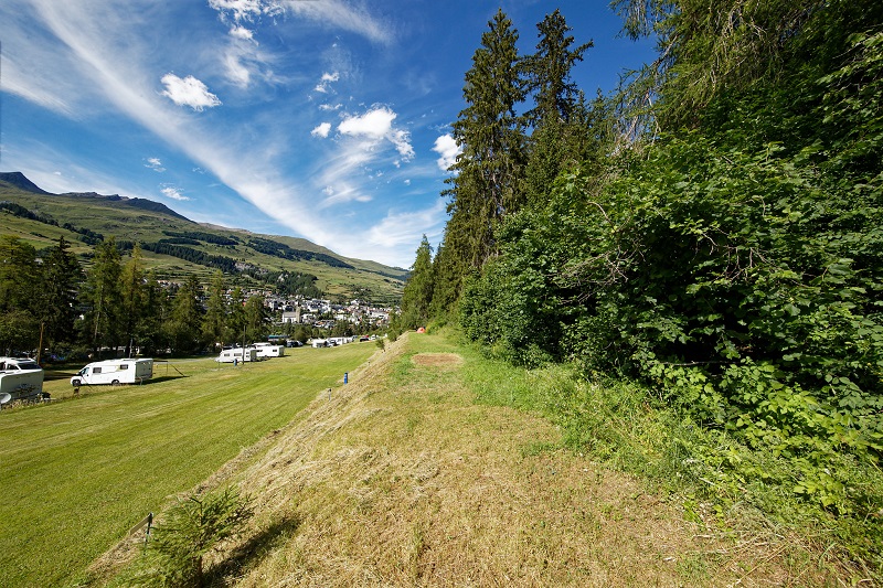 Gurlaina, TCS Camping Scuol